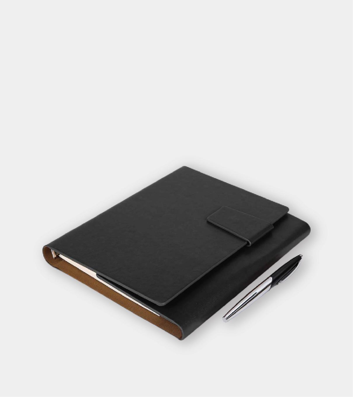 Leather covered Diary and pen